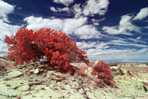 INFRARED COLORADO PLATEAU MARCH 2018 550 (1) FINAL 01